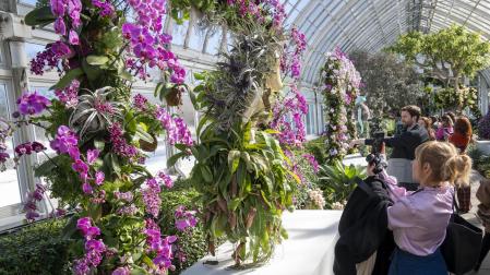 Varias personas toman fotos a unas orquídeas durante un pase de la prensa al espectáculo 'The Orchid Show: Florals in Fashion'
