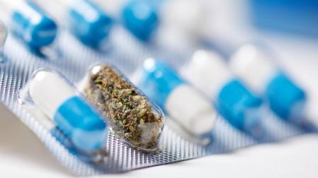 Los médicos alemanes pueden prescribir tratamientos a base de cannabis desde 2017, en presentaciones como flores o medicamentos formulados con esta sustancia