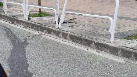 Una de la valla afectada tras la colisión y restos del vehículo tras el accidente.