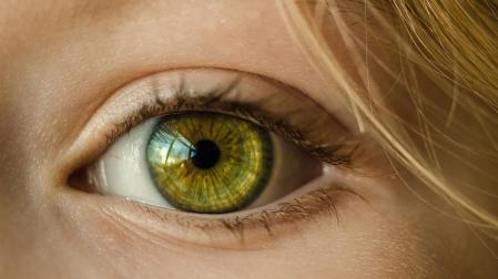 El iris contiene datos personales únicos