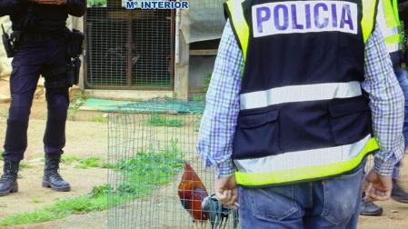 Agentes de la Policía Nacional durante la operación
