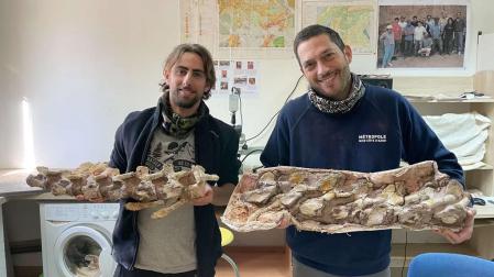 Hallado en Francia el esqueleto casi completo de un titanosaurio de hace 70 millones de años