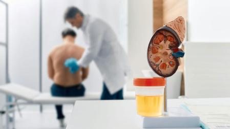 Uno de cada diez adultos en todo el mundo padece enfermedad renal, aunque muchos ni siquiera saben que la tienen