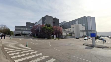 Carmen Corujo se recupera en el hospital de Cabueñes de Gijón de las mordidas causadas por dos perros