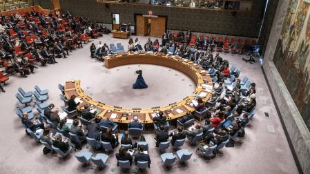 Reunión del Consejo de Seguridad de la ONU