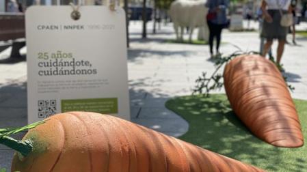 Los alimentos ecológicos gigantes visitan esta primavera las bibliotecas de San Francisco del Casco Antiguo de Pamplona, la Biblioteca Pública de Cintruénigo y la Biblioteca Pública de Tafalla