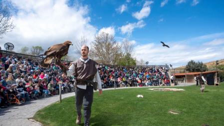 La exhibición del vuelo de las rapaces, estrella del parque Senda Viva, hoy abierto.