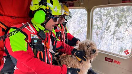 El helicóptero del Gobierno de Cantabria ha rescatado a una perra que llevaba dos días atrapada y sin poder moverse en una repisa entre paredes montañosas en la canal de Cuetu D'ave, en el municipio de Peñarrubia (Liébana)