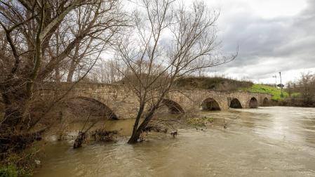 El Río Arga a su paso por Burlada por el Puente Viejo