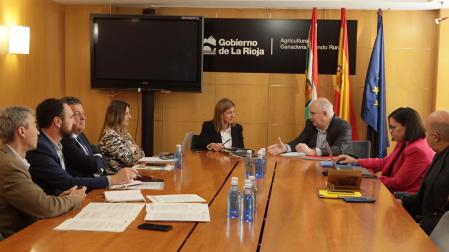 El consejero Aierdi junto a la consejera Manzanos, con sus respectivos equipos, en la reunión mantenida en la sede del Gobierno de La Rioja