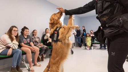 Uno de los perros de la Unidad Canina de la Policía Foral en una de las visitas al Hospital Universitario de Navarra (HUN)