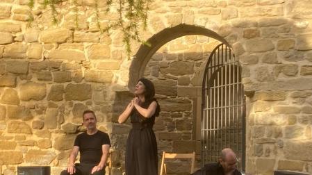 'Con pena y sin Gloria', espectáculo esta tarde en Viana.
