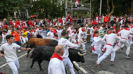 Toros de Cebada Gago en el segundo encierro de San Fermín 2024. |