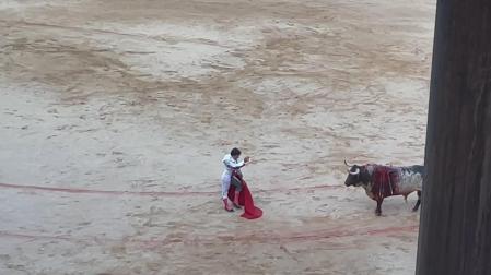 El mexicano, que ya tenía un aparatoso vendaje en el codo derecho por una cogida que sufrió hace una semana, no ha podido continuar