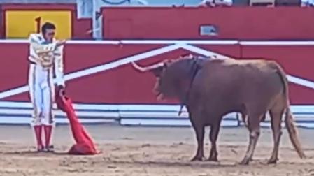 Estocada de Alejandro Talavante al primer toro de la corrida del 11 de julio