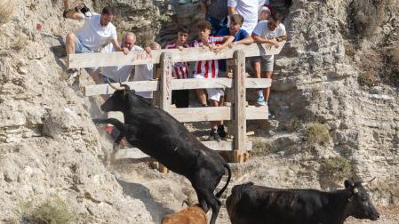 Una de las vacas intentó colarse en uno de los vallados instalados en el monte