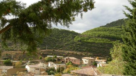 La localidad de Ayesa también celebra sus fiestas.