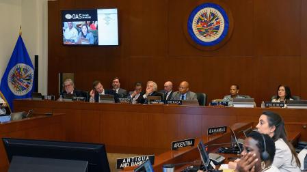 Fotografía cedida por la Organización de los Estados Americanos de la reunión del Consejo Permanente, este viernes en Washington (Estados Unidos)