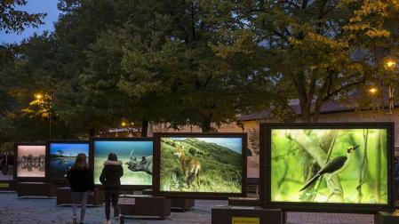 La exposición ‘De Polo a Polo’, enmarcada en el programa ‘Arte en la calle’, tiene como objetivo mostrar la belleza de nuestro planeta y crear un espacio de reflexión sobre los efectos de la actividad humana