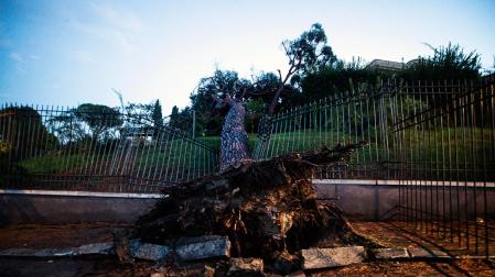 Una potentísima tromba de agua sacudió el centro histórico de Roma, donde este martes cayeron en sólo una hora más de 80 mm de lluvia por metro cuadrado