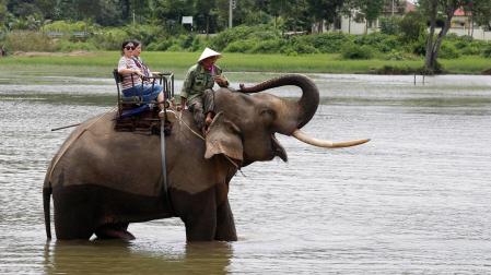 Turistas montados sobre elefantes cruzan el lago Lak, en Vietnam