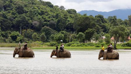 Turistas montados sobre elefantes cruzan el lago Lak, en Vietnam