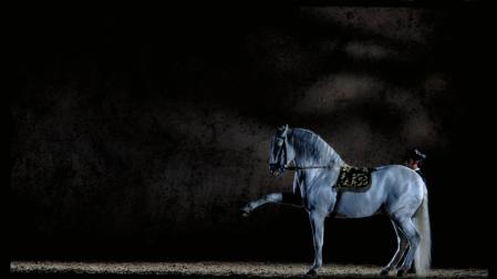 Imagen de uno de los números del espectáculo "Cómo Bailan los Caballos Andauces"
