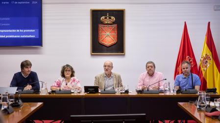 Elena Aisa, Javier Arza (parlamentario), Francisco Carcavilla y Pablo Segura en el Parlamento foral.