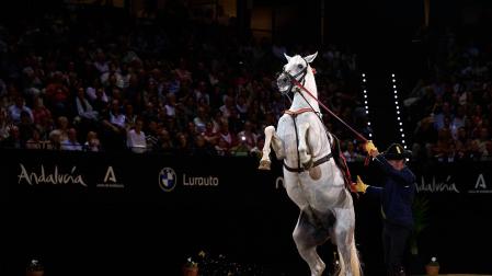 Fotos del espectáculo 'Cómo bailan los caballos andaluces' en el Navarra Arena./