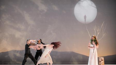 La compañía Carolyn Carlson Company llega hoy a Baluarte con ‘The Tree'.