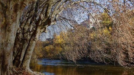 El trabajo consiste en la determinación de los índices bióticos, físico-químicos, microbiológicos y faunísticos en 16 puntos de los ríos (8 puntos del Arga, 4 del Sadar y 4 del Elorz)