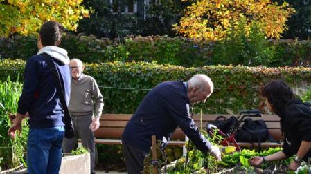 Residentes de la Casa Misericordia de Pamplona disfrutan de una de las actividades organizadas en las huertas de recreo