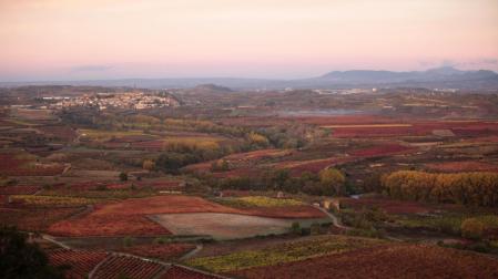 Paisaje de otoño en los viñedos de la Rioja Alta