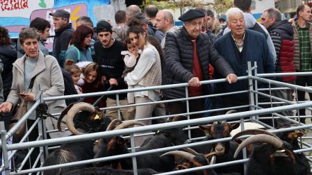 Fotos de la Feria ganadera y de producto local de Leitza y Areso.