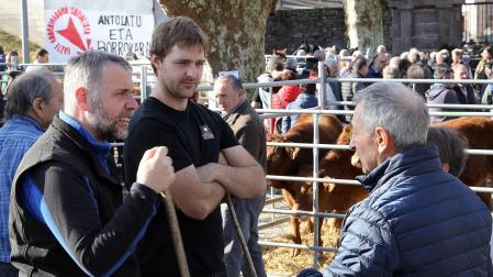Fotos de la feria de otoño en Santesteban 2024.