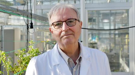 El director de la Cátedra TIMAC AGRO – Universidad de Navarra, José María García-Mina Freire
