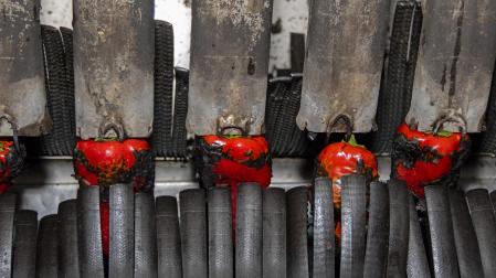 Momento del proceso de elaboración de pimiento del piquillo