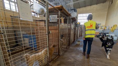 *A:MONTXO A.G.
*F: 2024-02-15
*L: ESTELLA-LIZARRA
*T: INSTALACIONES DE EGAPELUDOS SECCION PERROS EN EL SILO DE MERKATONDOA
*P: