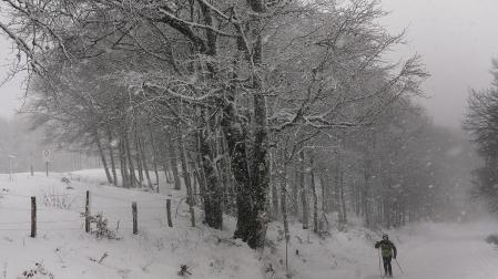 Fotos de la nieve en el Pirineo Navarro