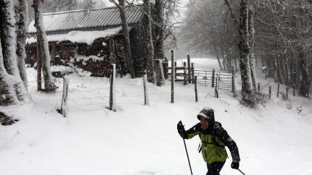 Fotos de la nieve en el Pirineo Navarro