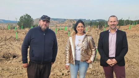 Plantación en Canraso