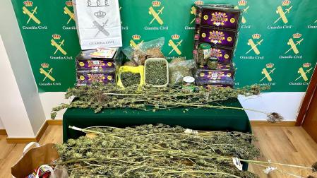Localizado un punto de cultivo y secado de marihuana en un trastero en Berriozar