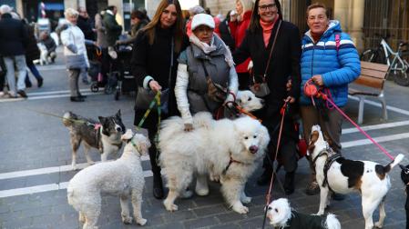 Fotos de la tradicional bendición de mascotas en Pamplona en el día de San Antón.