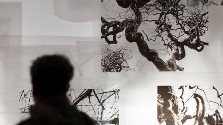 Un visitante en la exposición 'Umbra Arborum' en Sangüesa