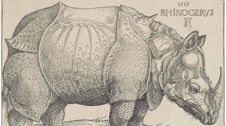 El famoso grabado de Alberto Durero 'El rinoceronte' (1515)