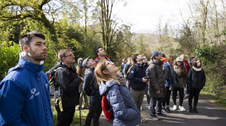 Un grupo de veinte visitantes admira una especie señalada por el naturalista Juan Goñi, segundo por izda., encargado la visita guiada