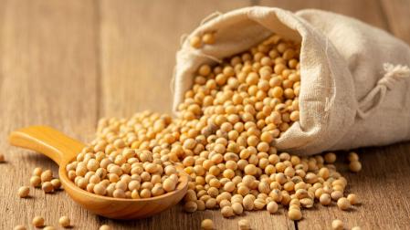 Las isoflavonas están naturalmente presentes en algunos vegetales como en las leguminosas y en las hortalizas, pero es en los alimentos con soja donde su contenido es mayor.