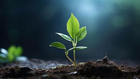 La agricultura de carbono promueve una serie de prácticas de cultivo que favorecen la conservación y regeneración del suelo, el secuestro de CO2 y la reducción de emisiones