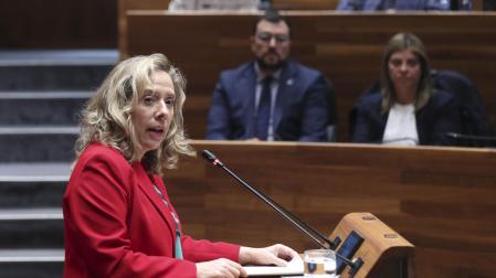 La consejera de Industria Belarmina Díaz, este martes en el pleno de la Junta General del Principado