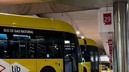 Imagen de archivo de varios autobuses del TIB, como el que ha protagonizado el accidente de este lunes